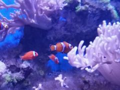 -多彩贵州城极地海洋世界