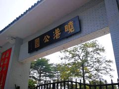 -晓港公园
