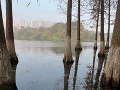 -重庆彩云湖湿地公园