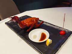 -侨美食家·40年地道粤菜(珠江新城店)