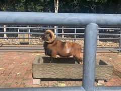 -长白岛森林公园