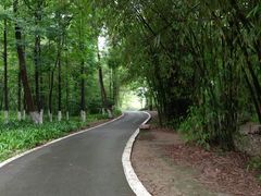 -桤木河湿地公园