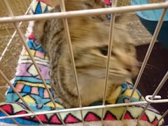 -逃脱反斗城沉浸剧情密室(北京路店)