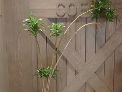 -M Stand(万象前海店)