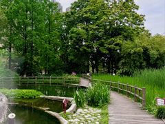 -成都市活水公园