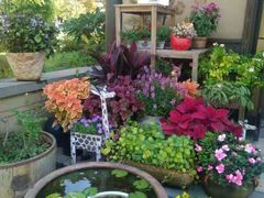 -蓝鲸湾汤泉(包河店)