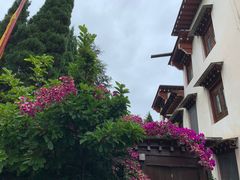 -云南民族村