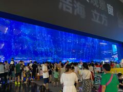 -成都浩海立方海洋公园