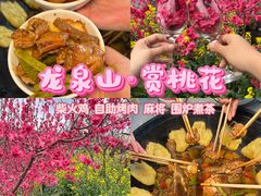 -桃源山庄·水蜜桃采摘·柴火鸡·烧烤团建(龙泉山店)