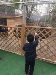 -萌宠亲子动物乐园(槐房万达店)