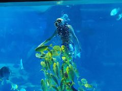 -太平洋海底世界