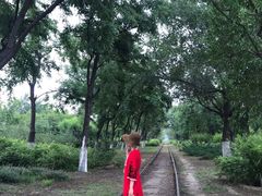 -永定河休闲森林公园