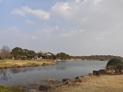 -上海海湾国家森林公园