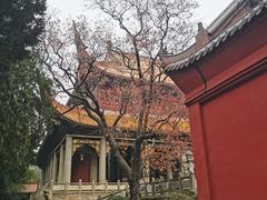 -南岳衡山风景名胜区-南岳大庙