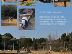-宁波野生动物园