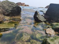-小麦岛公园