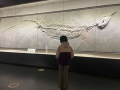 -柳州白莲洞洞穴科学博物馆