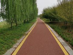 -神州牡丹园