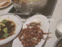 -蝎王府羊蝎子(北大地店)