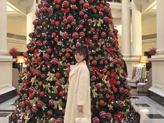 -Salon de Ville浦江汇(上海外滩华尔道夫酒店店)