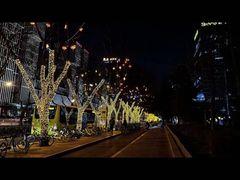 -大望路(地铁站)