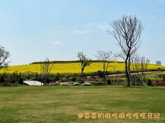 -光明小镇欢乐田园