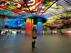 -捷运美丽岛站(The Dome of Light)