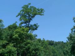 -北京鹫峰国家森林公园
