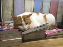 -小时光咖啡馆(开森度假森林店)