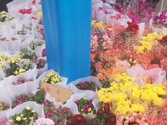 -重庆市江北嘴中央商务区中央公园