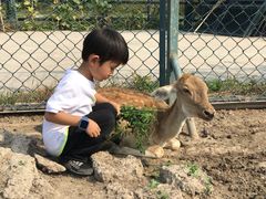 -北京麋鹿生态实验中心