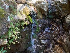 -祁门牯牛降观音堂风景区