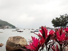 -南丫岛