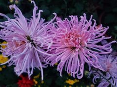 -上海大学（宝山校区）-图书馆