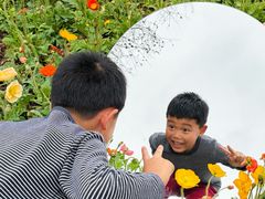 -云溪植物园
