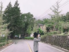 -四川省成都市彭州市白鹿镇