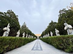 -东湖公园