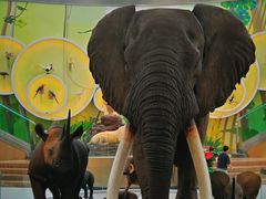 -陕西自然博物馆