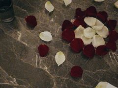 -Hi City·城市之巅