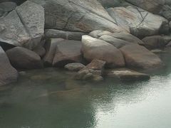 android_upload_pic-巽寮湾