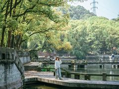 -忠山公园