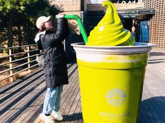 -雪绿茶博物馆