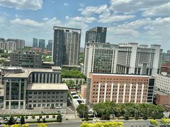 -北京望京华彩智选假日酒店