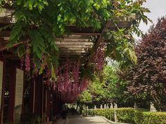 -西安汉城湖景区