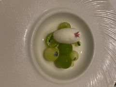 -蝶舍·MAISON PAPILLON