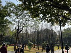 -晓港公园