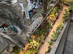 -双季花艺园艺市场(浦东店)