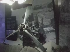 -美国纪念公园