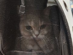 -联合动物医院(光谷诊疗中心)
