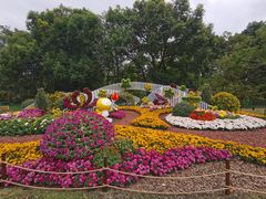 -上海共青森林公园